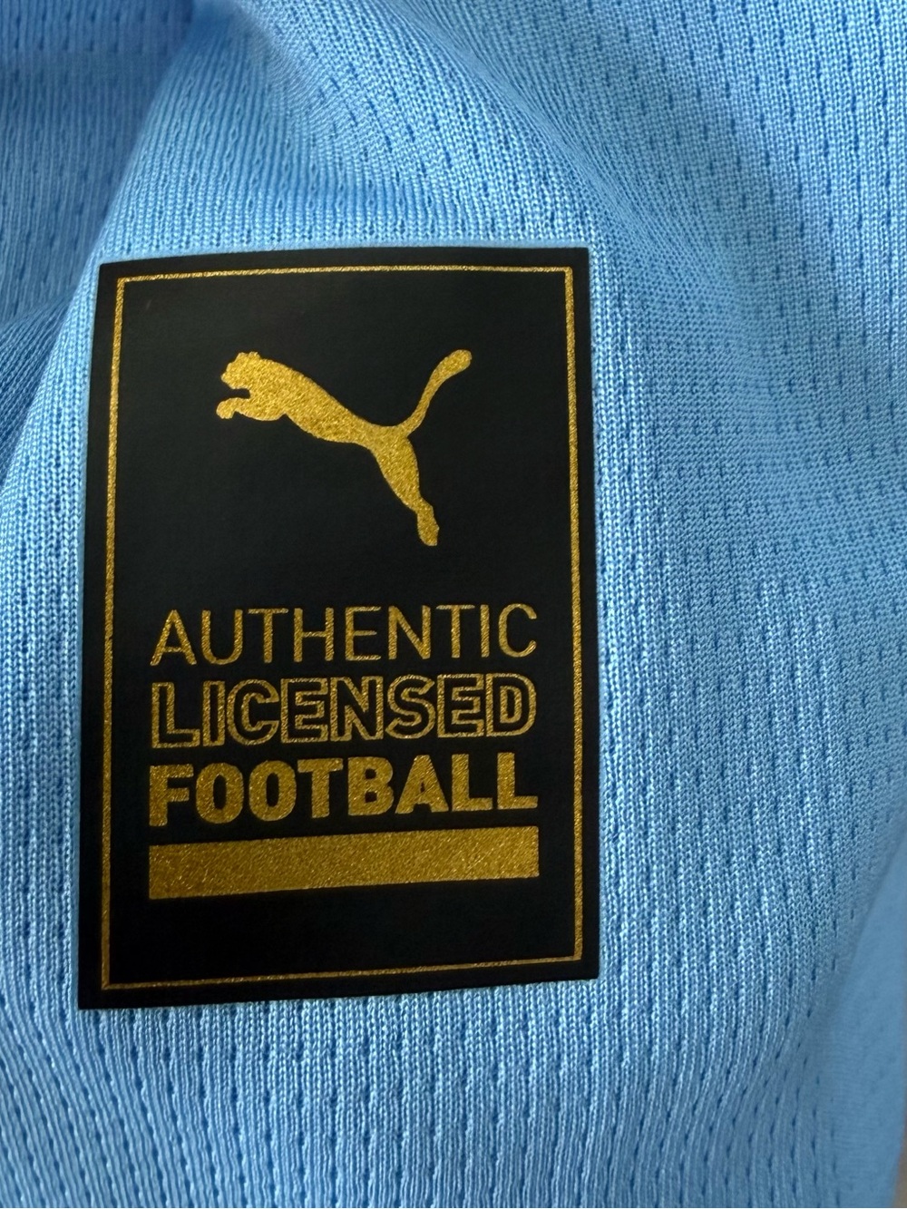 Manchester City Puma Long Sleeve Home Jersey - Sky Blue - Size Medium - Picture 2 of 7